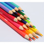 Crayons de couleur  - Coloriage