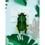 Décoration murale scarabée  - Affiches et cartes