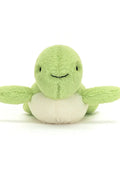 FLUFFY TURTLE ASSO